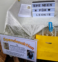 Zommkemma Festival - Kultur am Land - Mondscheinkind Leonie, Spendensammlung - Margit Kröll